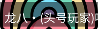 龙八·(头号玩家)唯一官方网站